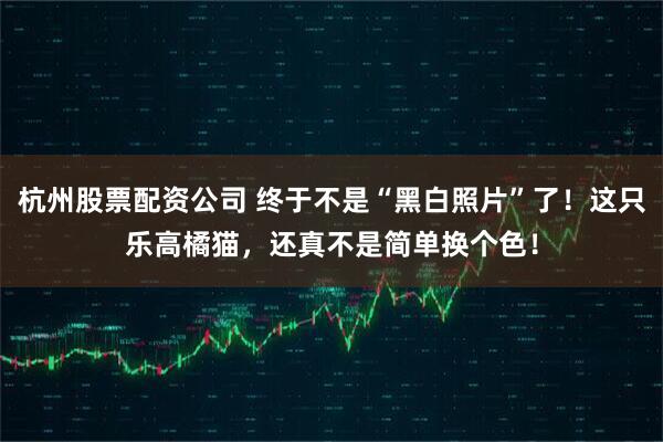 杭州股票配资公司 终于不是“黑白照片”了！这只乐高橘猫，还真不是简单换个色！