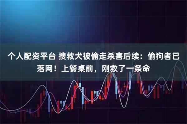 个人配资平台 搜救犬被偷走杀害后续：偷狗者已落网！上餐桌前，刚救了一条命