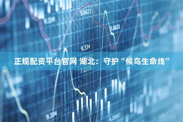 正规配资平台官网 湖北：守护“候鸟生命线”
